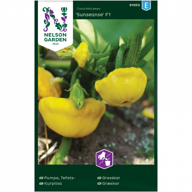 Græskar 'Sunseanse' F1 Cucurbita Pepo 'Sunseanse' F1 3 Græskar 'Sunseanse' F1 Cucurbita Pepo 'Sunseanse' F1