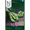 Edamamebønne 'Summer Shell' Glycine Max 'Summer Shell' -Osmo Salgsbutik p34783 34764 glycine max summer shell be8f
