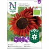 Solsikke 'Velvet Queen' Øko Helianthus Annuus 'Velvet Queen' Frøpose, Antal Pr. Pakke, Ca. 20 Stk. -Osmo Salgsbutik p34784 34765 helianthus annuus velvet queen c4a9