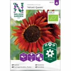 Solsikke 'Velvet Queen' Øko Helianthus Annuus 'Velvet Queen' Frøpose, Antal Pr. Pakke, Ca. 20 Stk.