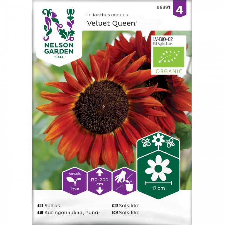 Solsikke 'Velvet Queen' Øko Helianthus Annuus 'Velvet Queen' Frøpose, Antal Pr. Pakke, Ca. 20 Stk. 2 Solsikke 'Velvet Queen' Øko Helianthus Annuus 'Velvet Queen' Frøpose, Antal Pr. Pakke, Ca. 20 Stk.