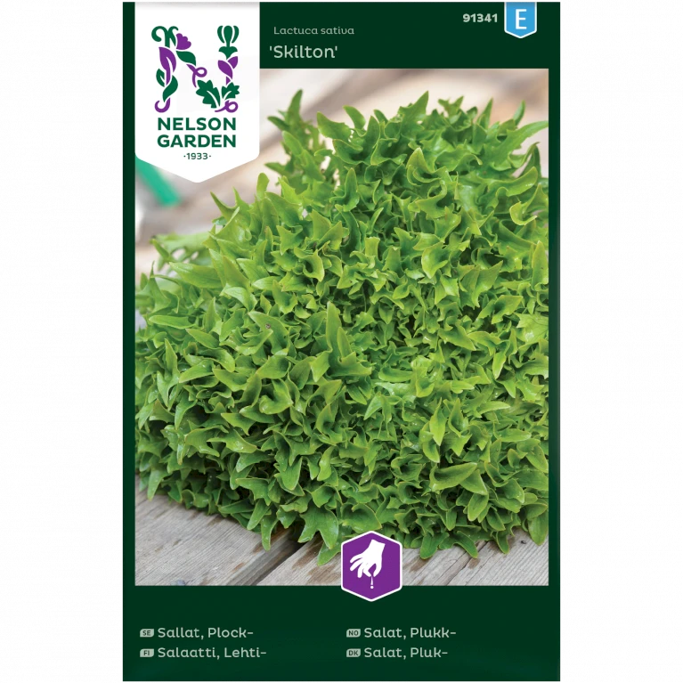 Pluksalat 'Skilton' Lactuca Sativa 'Skilton' 3 Pluksalat 'Skilton' Lactuca Sativa 'Skilton'