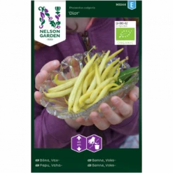 Voksbønne 'Dior' Øko Phaseolus Vulgaris 'Dior'