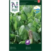 Spinat 'Matador' Spinacia Oleracea L. 'Matador' -Osmo Salgsbutik p34796 34777 spinacia oleracea l matador fabb