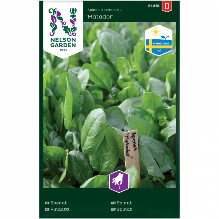 Spinat 'Matador' Spinacia Oleracea L. 'Matador' 3 Spinat 'Matador' Spinacia Oleracea L. 'Matador'