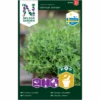Timian 'German Winter' Thymus Vulgaris L. 'German Winter'
