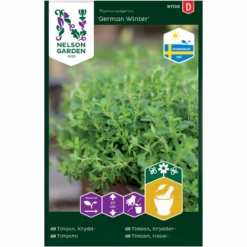 Timian 'German Winter' Thymus Vulgaris L. 'German Winter'