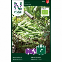Valskbønne 'Express' Øko Vicia Faba 'Express'