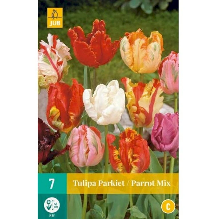 Tulipan Parrot Mix Tulips Parrot Mix Blomsterløg, Antal Pr. Pakke, Ca. 7 Stk. 4 Tulipan Parrot Mix Tulips Parrot Mix Blomsterløg, Antal Pr. Pakke, Ca. 7 Stk. - Billede 2