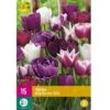 Tulipan 'Blueberry' Mix XXL Tulips 'Blueberry' Mix Blomsterløg, Antal Pr. Pakke, Ca. 15 Stk.