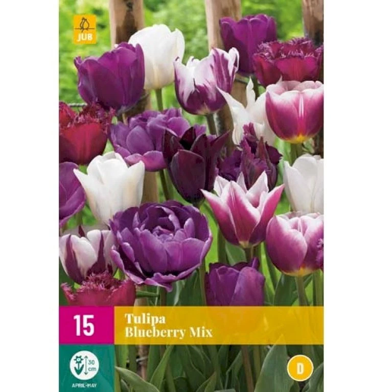 Tulipan 'Blueberry' Mix XXL Tulips 'Blueberry' Mix Blomsterløg, Antal Pr. Pakke, Ca. 15 Stk. 3 Tulipan 'Blueberry' Mix XXL Tulips 'Blueberry' Mix Blomsterløg, Antal Pr. Pakke, Ca. 15 Stk.