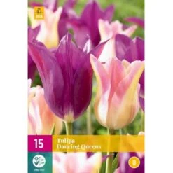 Tulipan 'Dancing Queens' Mix XXL Tulips 'Dancing Queens' Mix Blomsterløg, Antal Pr. Pakke, Ca. 15 Stk.
