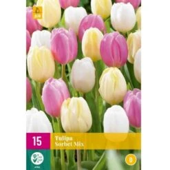 Tulipan 'Sorbet' Mix XXL Tulips 'Sorbet' Mix Blomsterløg, Antal Pr. Pakke, Ca. 15 Stk.