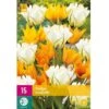 Tulipan 'Sunbath' Mix XXL Tulips 'Sunbath' Mix Blomsterløg, Antal Pr. Pakke, Ca. 15 Stk.