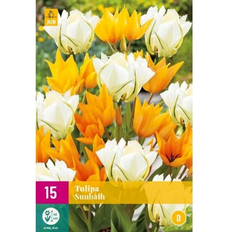 Tulipan 'Sunbath' Mix XXL Tulips 'Sunbath' Mix Blomsterløg, Antal Pr. Pakke, Ca. 15 Stk. 3 Tulipan 'Sunbath' Mix XXL Tulips 'Sunbath' Mix Blomsterløg, Antal Pr. Pakke, Ca. 15 Stk.