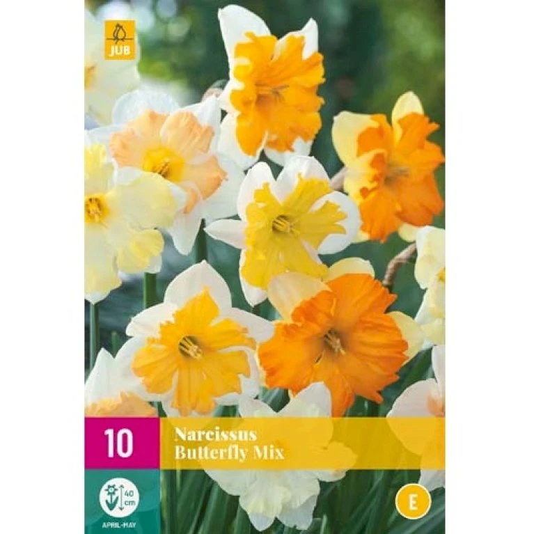 Påskelilje 'Butterfly' Mix XXL Narcissus 'Butterfly' Mix Blomsterløg, Antal Pr. Pakke, Ca. 10 Stk. 4 Påskelilje 'Butterfly' Mix XXL Narcissus 'Butterfly' Mix Blomsterløg, Antal Pr. Pakke, Ca. 10 Stk. - Billede 2