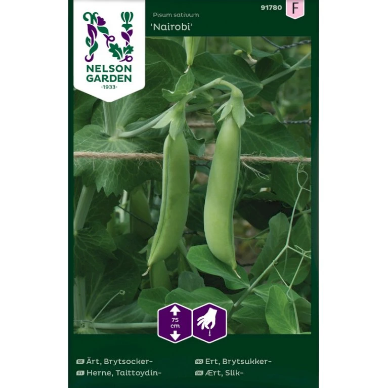 Slikært 'Nairobi' Pisum Sativum 'Nairobi' 3 Slikært 'Nairobi' Pisum Sativum 'Nairobi'
